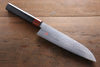 Iseya VG10 33 Layer Damascus Japanese Santoku & Sushi Knife 210mm Set - Japanny - Best Japanese Knife